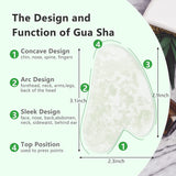 Gua Sha & Jade Roller Gift Set, Natural Green Face Roller and Gua Sha Stone Set, Face Massager Jade Stone Facial Roller for Eye Puffiness, Skin Tightening, Rejuvenation of the Face and Neck (Green Large Small Head)