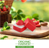 Organic Harvest Red Tinted Lip Balm: Hibiscus | Lip Balm for Women & Men | for All-Round Lip Care | Lip Balm Tint | 100% American Certified Organic | Sulphate & Paraben-Free 10Gm