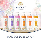 English Lavender Body Lotion by Yardley London 402 Ml