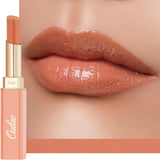 Oulac Moisture Shine Lipstick - Hydrating Lipstick & Tinted Lip Balm, Lip Care for Dry Lips | Juicy Finish, 90% Essential Oils, Vegan, Cruelty-Free & Gluten-Free, Grande Dame (02) | Plummy Terracotta