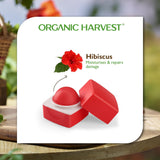 Organic Harvest Pink Tinted Lip Balm: Lily | Lip Balm for Women & Men | for All-Round Lip Care | Lip Tint | Lip Balm Tint | Organic Lip Balm | 100% Certified Organic | Sulphate & Paraben-Free 10Gm